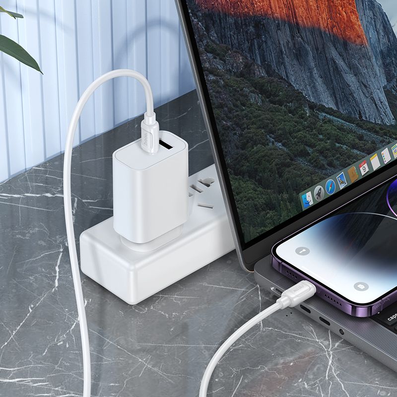 charging using hoco 27w x115 usb c to lig 1m 